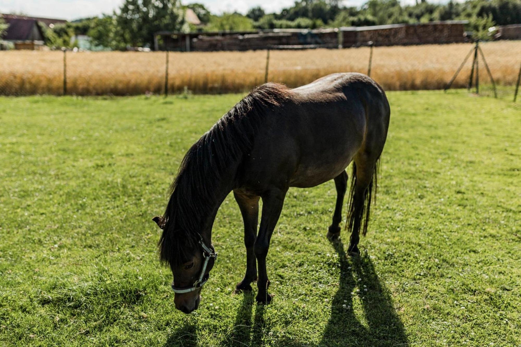 Ferienhof Hofer Absberg Bagian luar foto